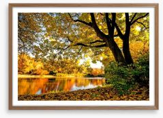 Autumn park glow Framed Art Print 68872066