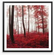 Glowing Autumn forest Framed Art Print 69017147