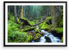 Vibrant forest stream Framed Art Print 69280059