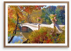 Bow Bridge beauty Framed Art Print 69357793