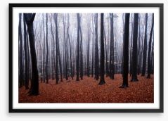 Forests Framed Art Print 70383738