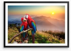 Mountain Macaw Framed Art Print 70421510
