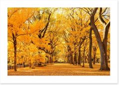 Fall in Central Park Art Print 70687663