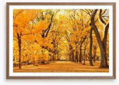 Fall in Central Park Framed Art Print 70687663