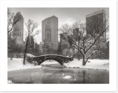 Central Park glacé Art Print 72060014