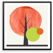 Autumnal expressions 1 Framed Art Print 72356308