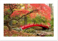 Red bridge in Autumn Art Print 72372777