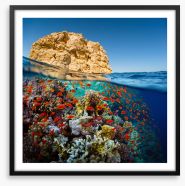 Below the Red Sea Framed Art Print 72670154