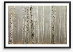 Foggy birch forest Framed Art Print 73107008