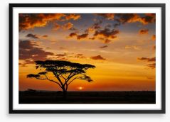 Savanna sunset silhouettes Framed Art Print 73635116