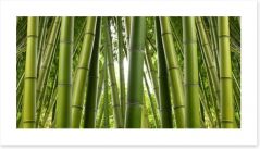 Bamboo jungle Art Print 73983878