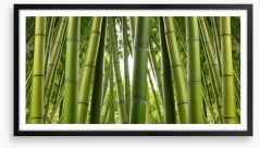Bamboo jungle Framed Art Print 73983878