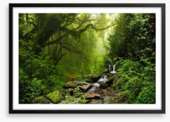 The jungle stream Framed Art Print 74013171