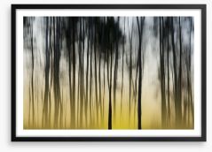 Dawn in the forest Framed Art Print 75216126