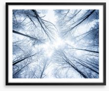 Forests Framed Art Print 75482959