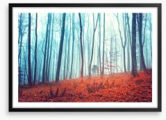 Forests Framed Art Print 75962060