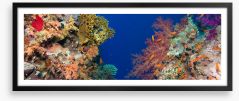 Coral chasm panorama Framed Art Print 75970456