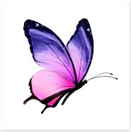 Beautiful butterfly Art Print 76212400