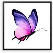 Beautiful butterfly Framed Art Print 76212400