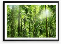 Jungle light Framed Art Print 76217254