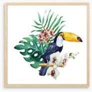 Toucan perch Framed Art Print 76701148