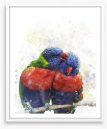 Rainbow lorikeet love Framed Art Print 76952385
