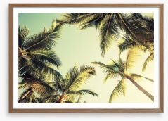 Coconut palms Framed Art Print 77063633