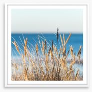 Golden beach grass Framed Art Print 78489089
