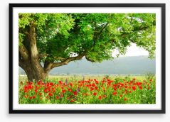Green tree in the poppy field Framed Art Print 7853282