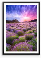 Lavender sky Framed Art Print 78721787