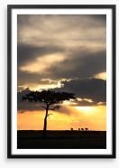 Masai Mara sunset Framed Art Print 78761078