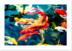 Koi fish in pond Art Print 78802903