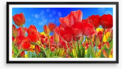 Sunshine tulips Framed Art Print 79207844