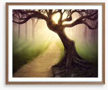 Mystical forest pathway Framed Art Print 79255911