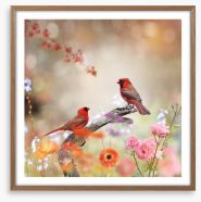 Northern cardinals Framed Art Print 79373542