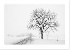 Lone tree in the snow storm Art Print 80032038