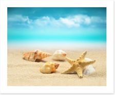 Starfish and seashells Art Print 80083100