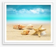 Starfish and seashells Framed Art Print 80083100