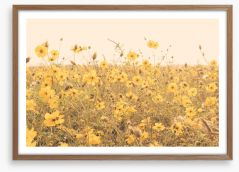 Yellow cosmos meadow Framed Art Print 80553348