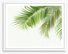 Green palm breeze Framed Art Print 80946476