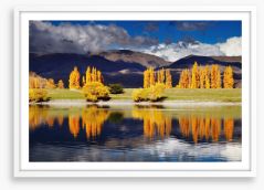  New Zealand Framed Art Print 81813655