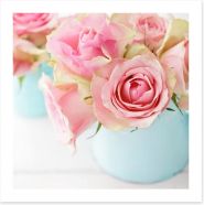 Pink roses in a vase