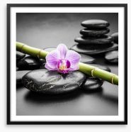 Orchid balance Framed Art Print 81822496