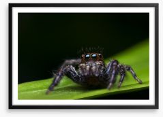 Insects Framed Art Print 81963304