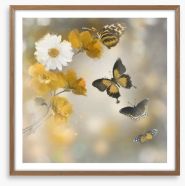 Butterflies Framed Art Print 82062642