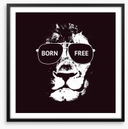 Born free Framed Art Print 82306683