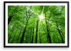 Spring forest sunburst Framed Art Print 82385995