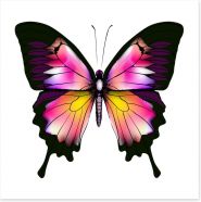 Butterflies Art Print 82427351