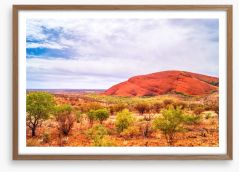Outback Framed Art Print 82695649