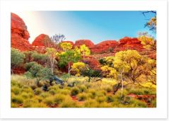 The colours of the Outback Art Print 82696059